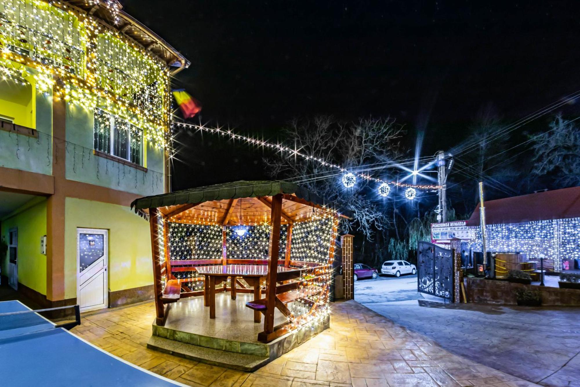 Pensiunea Mihaela-Transalpina Novaci-Străini Exterior foto