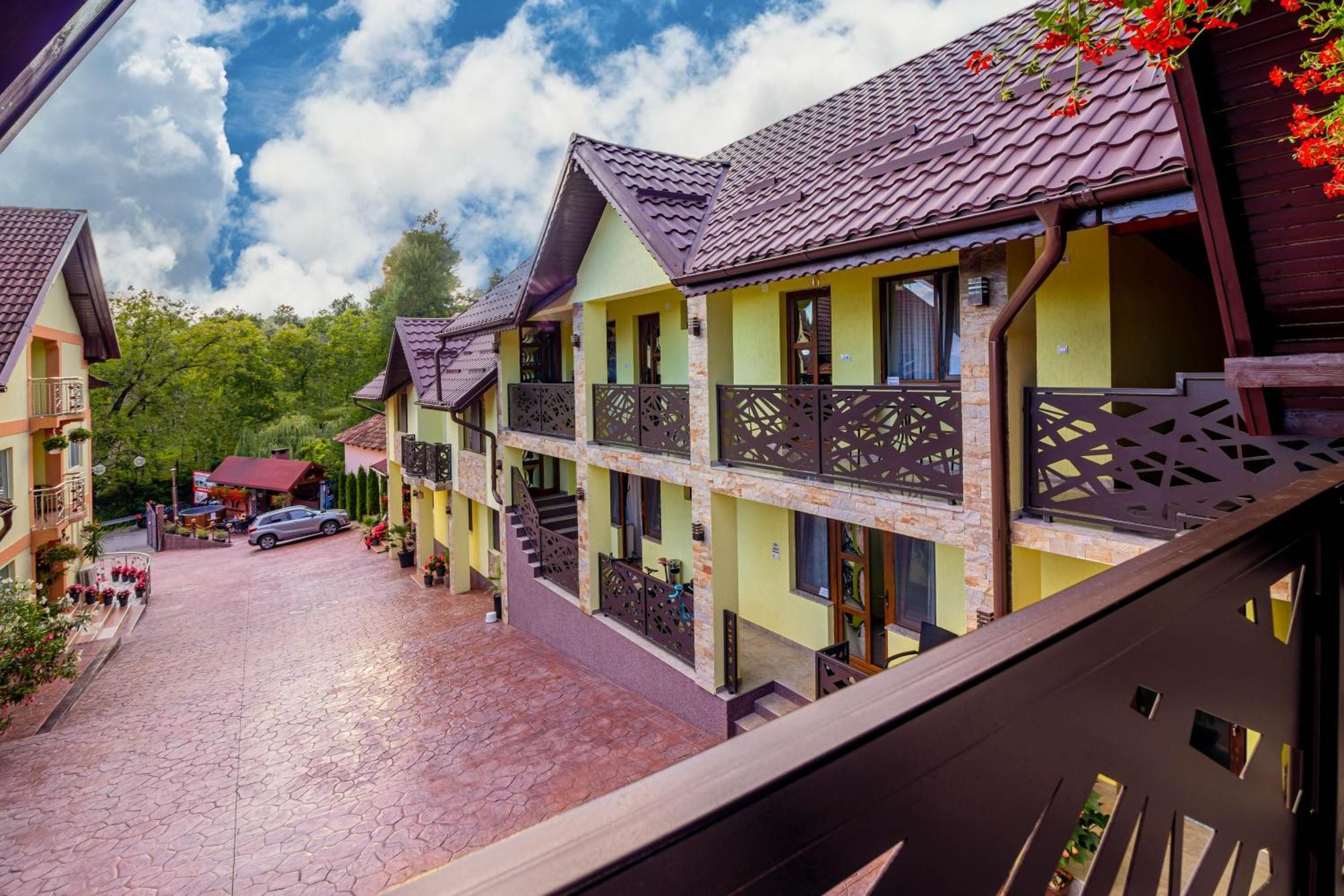 Pensiunea Mihaela-Transalpina Novaci-Străini Exterior foto