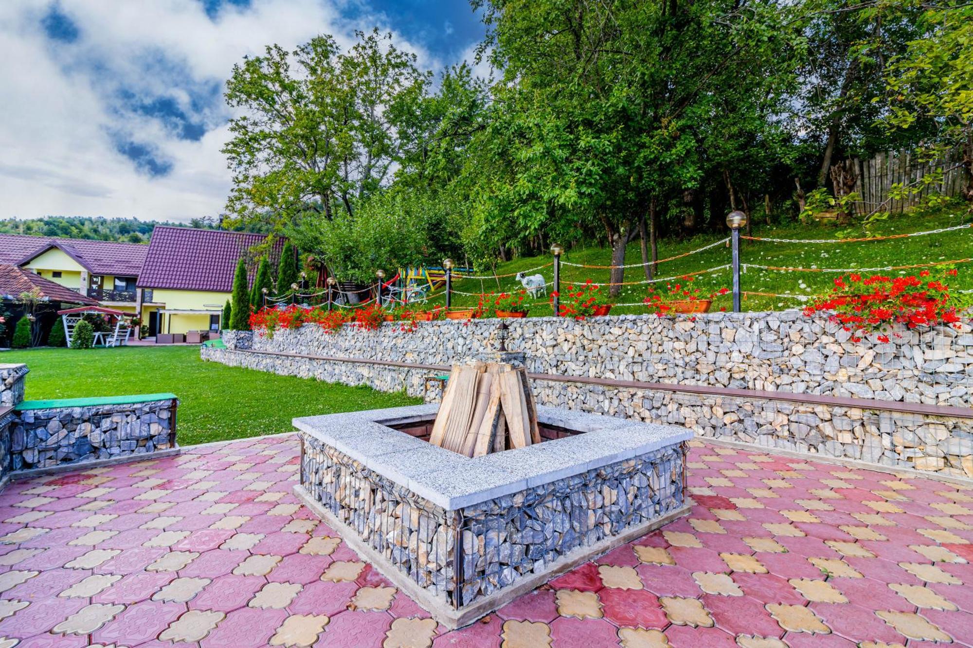 Pensiunea Mihaela-Transalpina Novaci-Străini Exterior foto