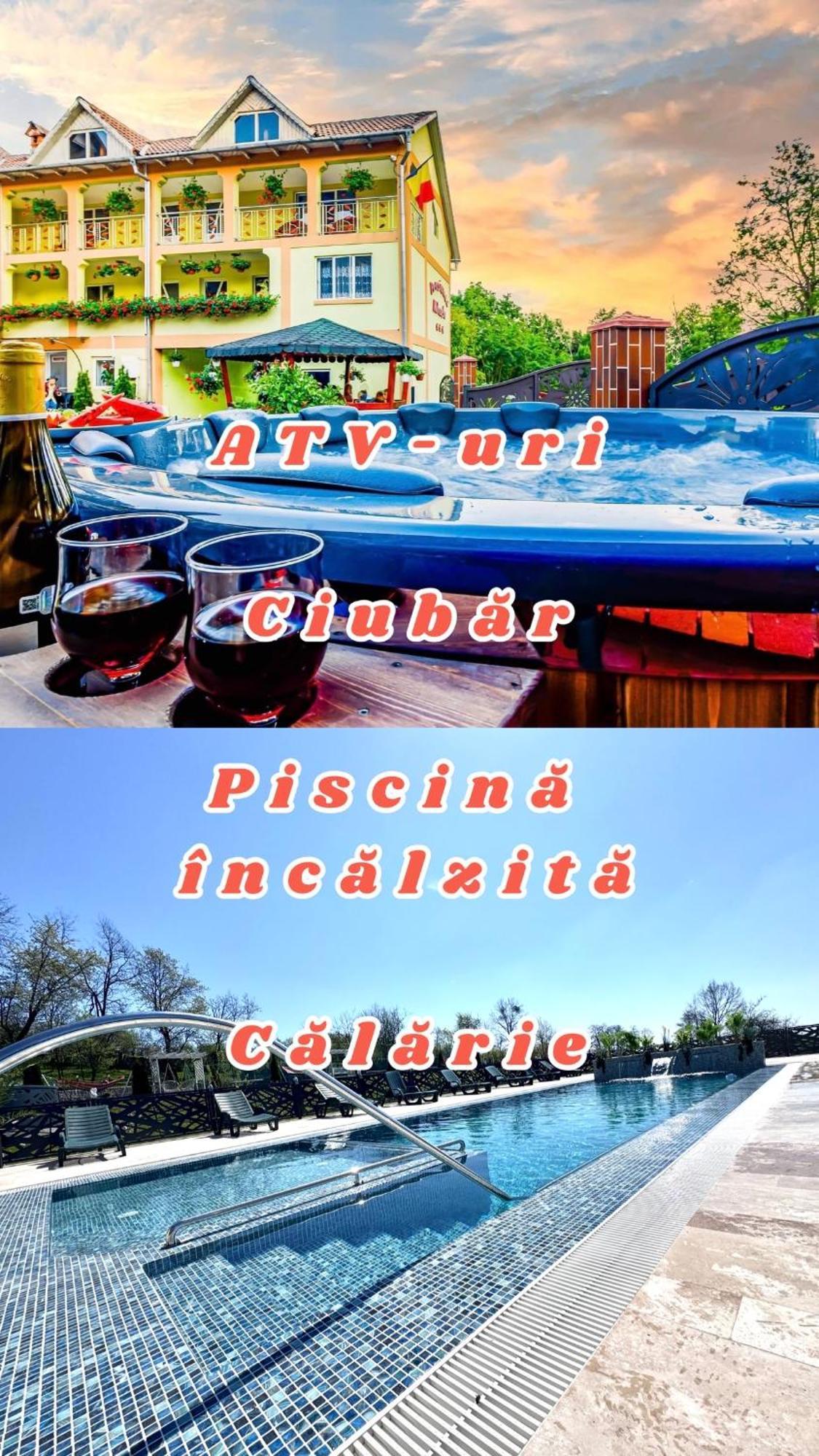 Pensiunea Mihaela-Transalpina Novaci-Străini Exterior foto
